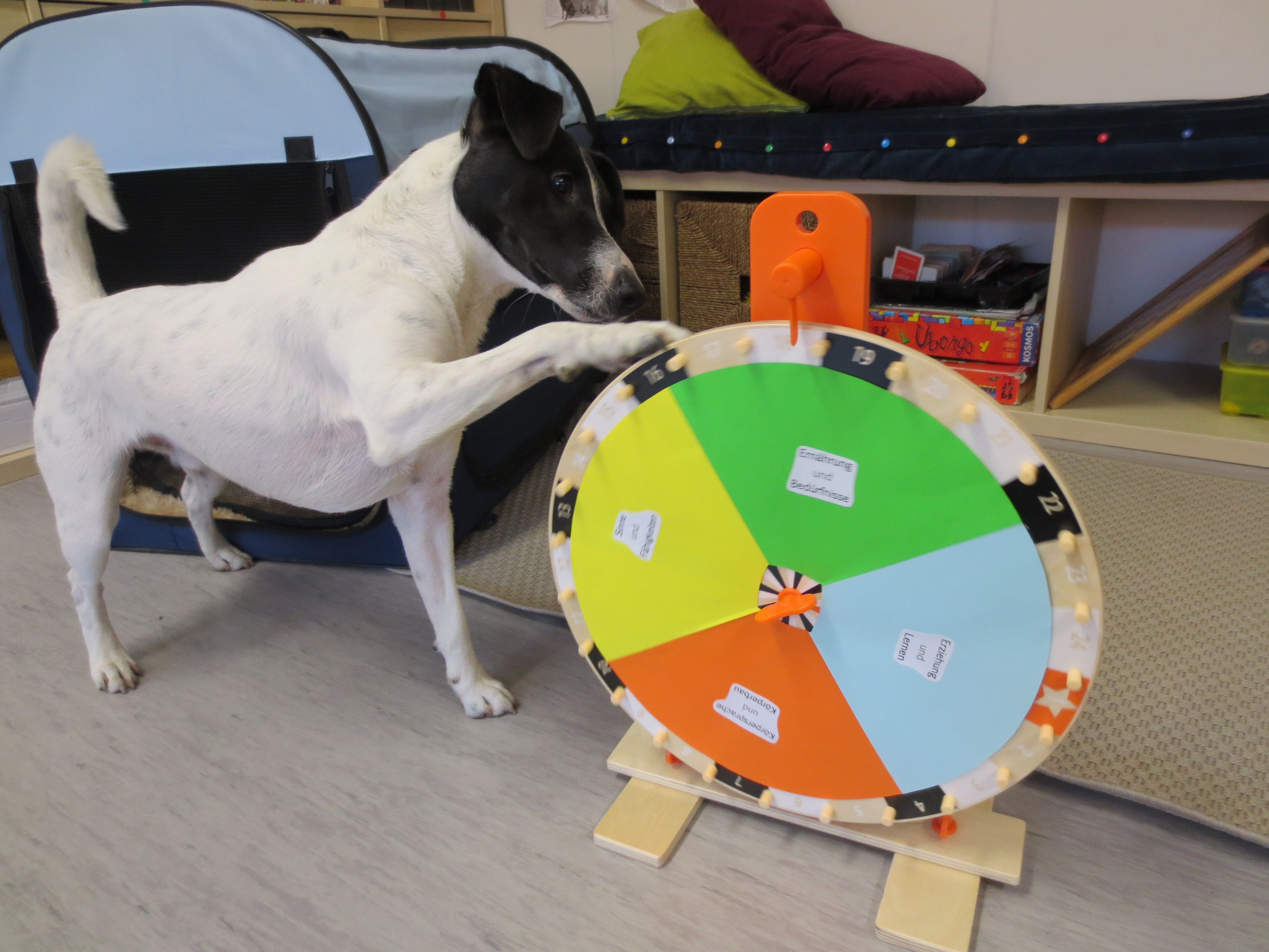 Unsere Tiere im Hort